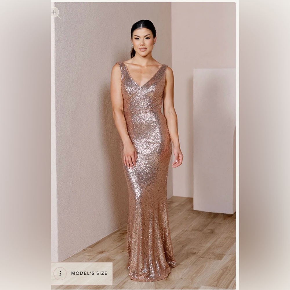Revelry Dakota Sequin Dress - STILL AVAILABLE, NEVER SOLD
